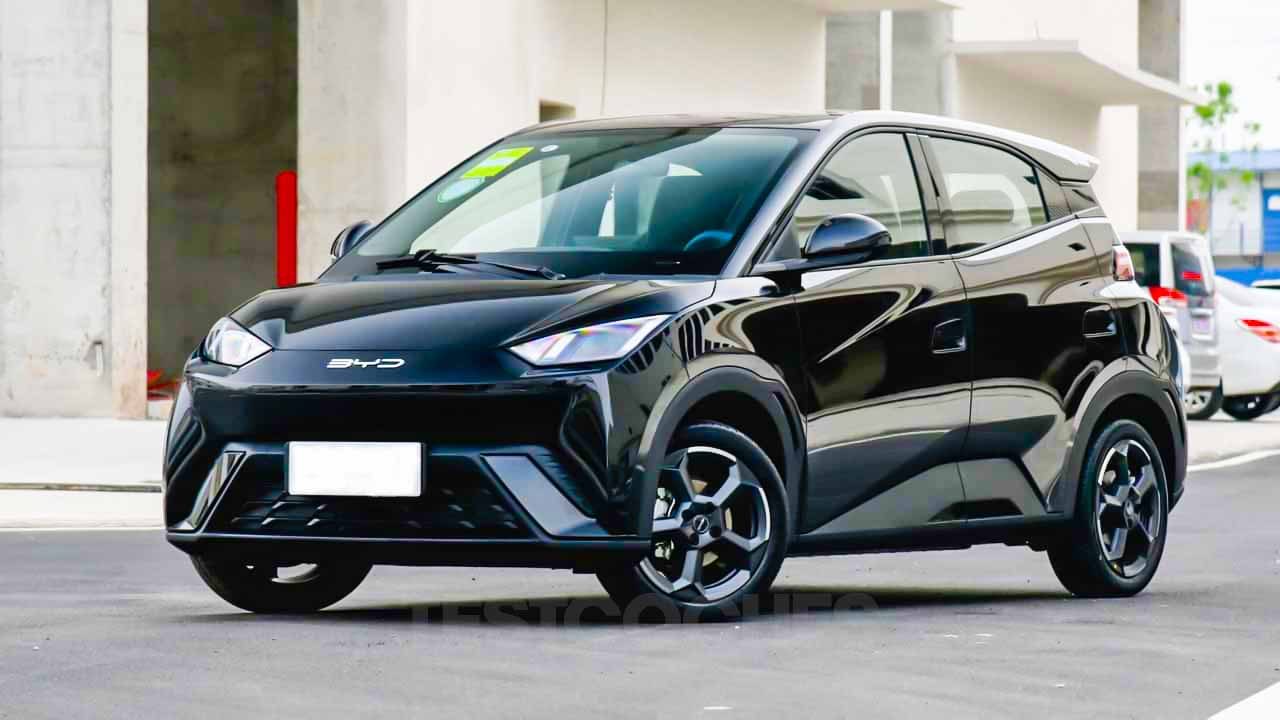 byd dolphin mini byd dolphin mini